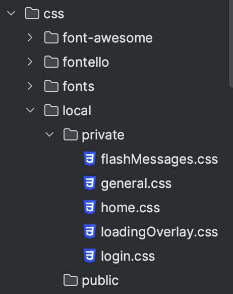 Css assets in local env