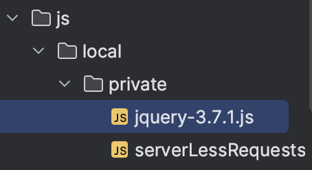 Js assets in local env